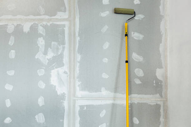 Best Drywall Sanding and Smoothing  in Delano, MN